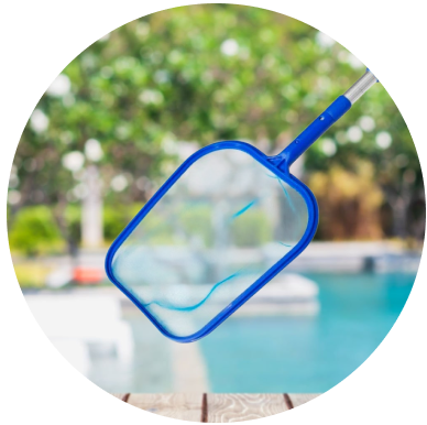 Pool Cleaning Tools