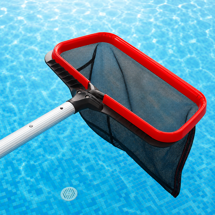 Red swimming pool leaf scoop with black mesh net and silver telescopic pole over blue pool water