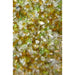 Close-up of coloured glass granules used as swimming pool filter media