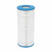 Zodiac CS100 filter cartridge standing upright with blue end caps